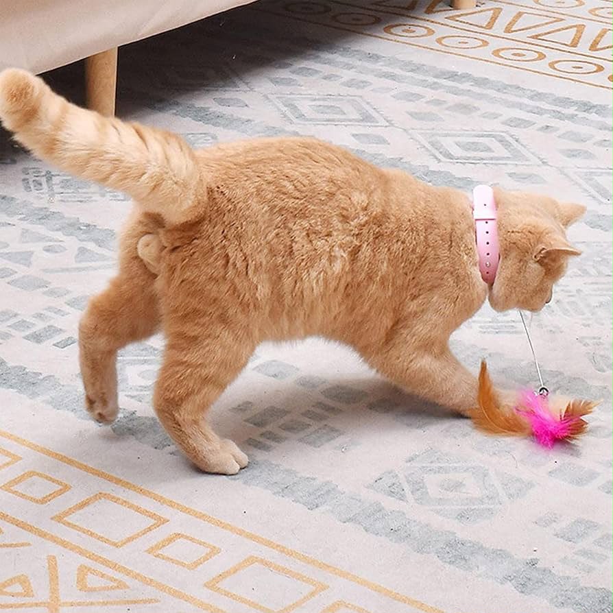 Adjustable Cat Feather Collar Toy